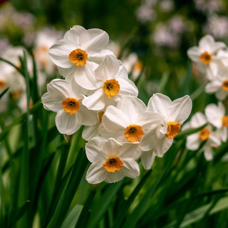 Kiedy narcyz odpuszcza: znaki, że nie wróci do twojego życia