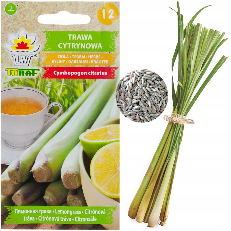 Odkryj, jakie nasionka do jedzenia są idealne dla twojego zdrowia