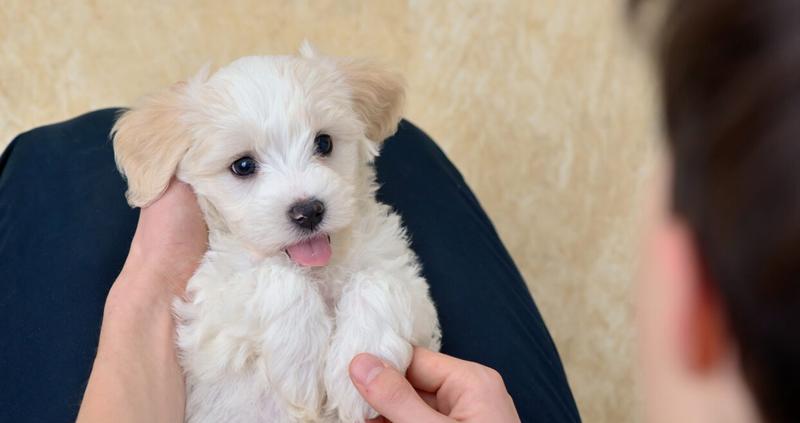 Granice zdrady w związkach