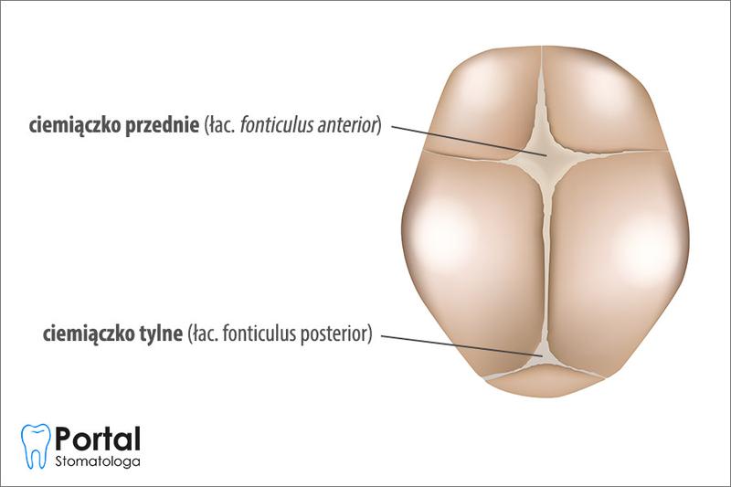 Leczenie ciemiączka