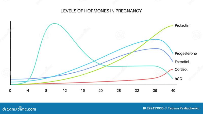 Rola hormonów w ciąży: Jak wpływają na zdrowie matki i dziecka