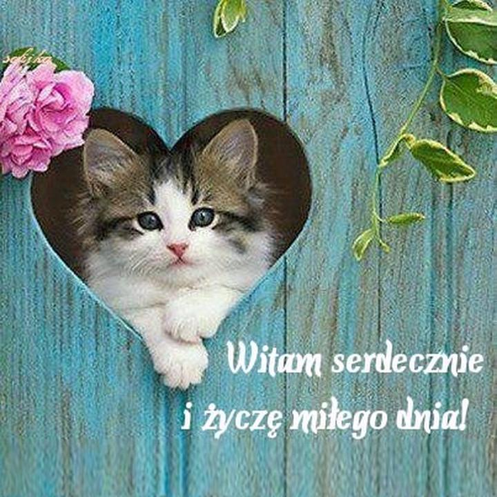 Życzenia miłego dnia: wesołe wierszyki, kartki i cytaty na dobry humor