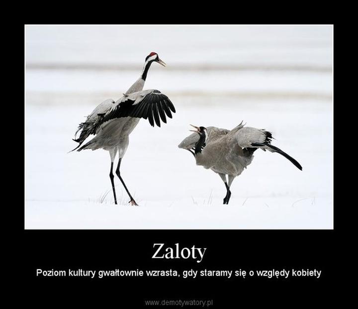 Sygnały ciała w relacjach