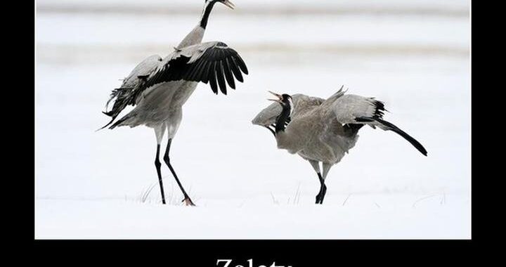 Jak subtelnie pokazać dziewczynie, że się jej podoba – kilka sprawdzonych sposobów