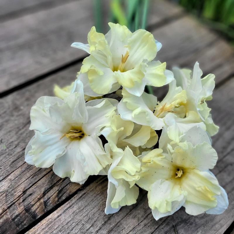 Stereotypy płci a narcyzm