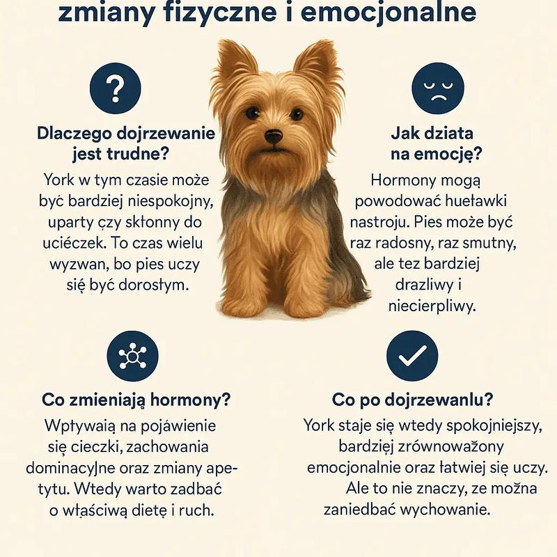 Czy niedojrzały facet ma szansę na zmianę? Jak dojrzewanie przychodzi z czasem