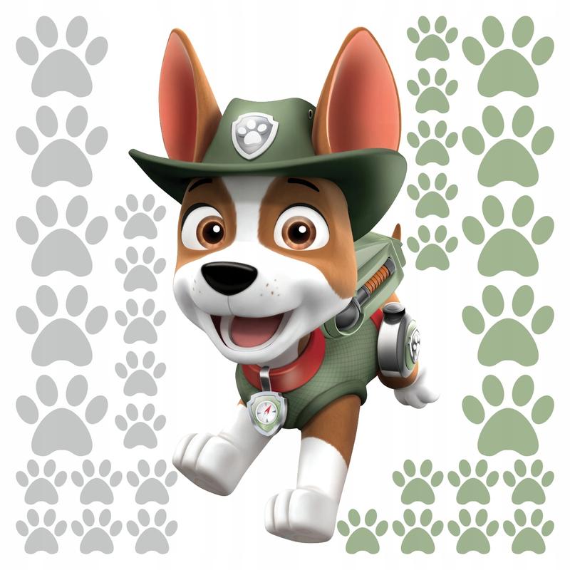 Poznaj wszystkie imiona bohaterów i postaci z Psi Patrol