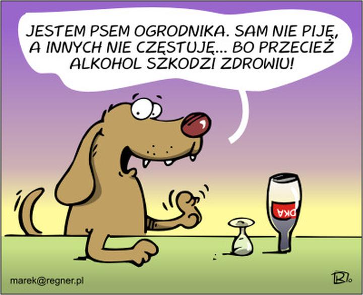 Rola zwierząt w ekosystemie