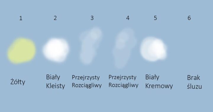 Żółty śluz w ciąży: Co oznacza, przyczyny i kiedy warto się zmartwić?
