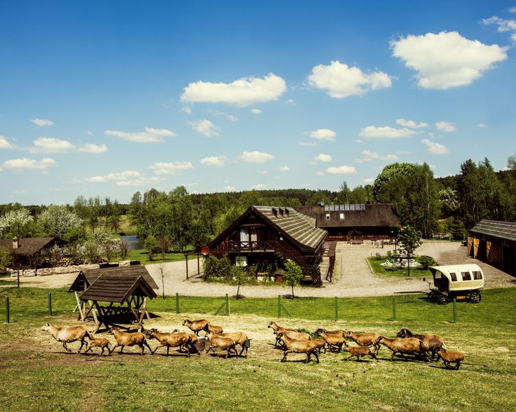 Agroturystyka w Wielkopolsce