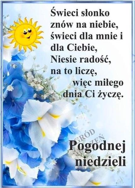 Powiedzonka na miłą niedzielę