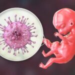 Cytomegalia w ciąży: co warto wiedzieć o wirusie CMV?