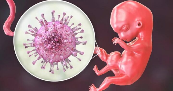 Cytomegalia w ciąży: co warto wiedzieć o wirusie CMV?