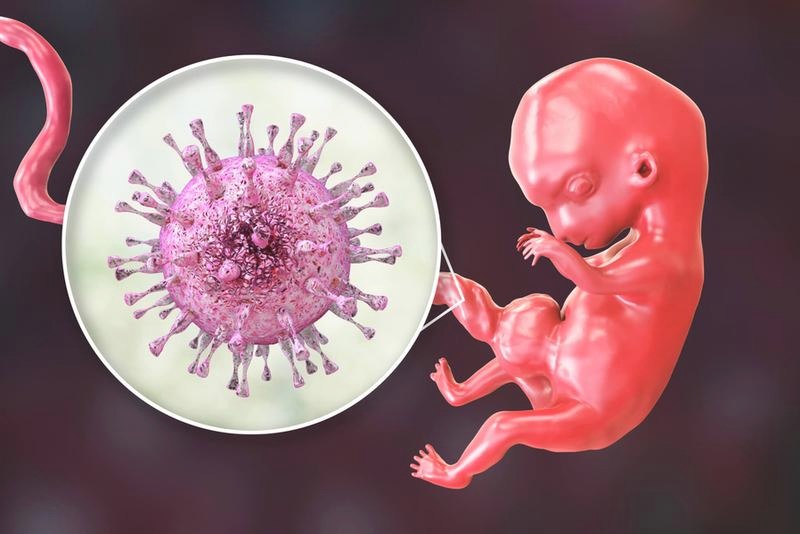 Cytomegalia w ciąży: co warto wiedzieć o wirusie CMV?