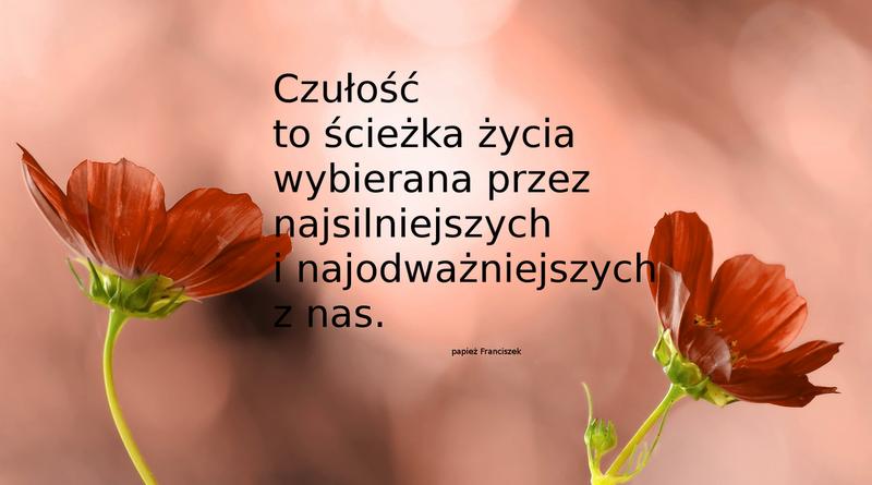 Troska o szczegóły