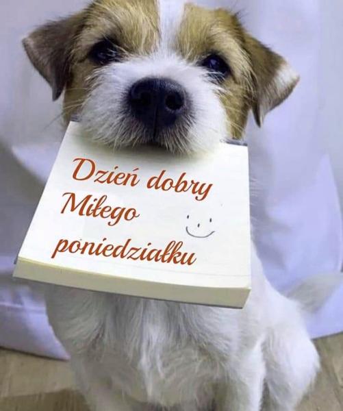 Życzenia na poniedziałek