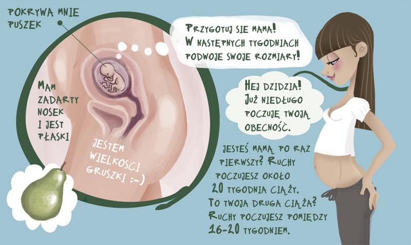 Bezpieczeństwo gruszek