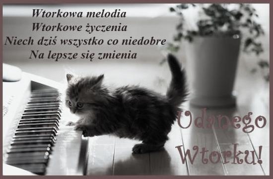 Krótkie wierszyki