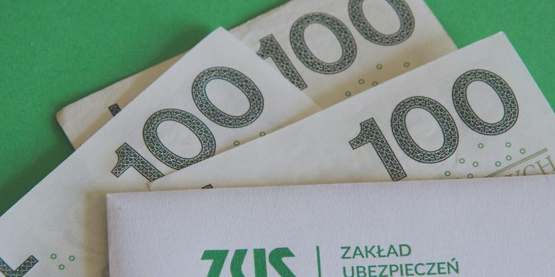 Pasje i zainteresowania