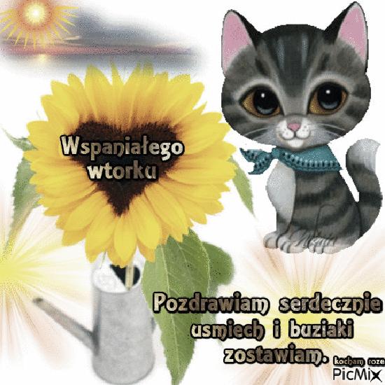 Pozytywne cytaty