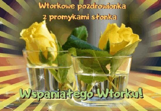 Życzenia na miły wtorek – krótkie wierszyki i ciepłe powiedzonka