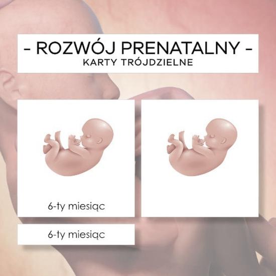 Dieta i suplementacja w ciąży