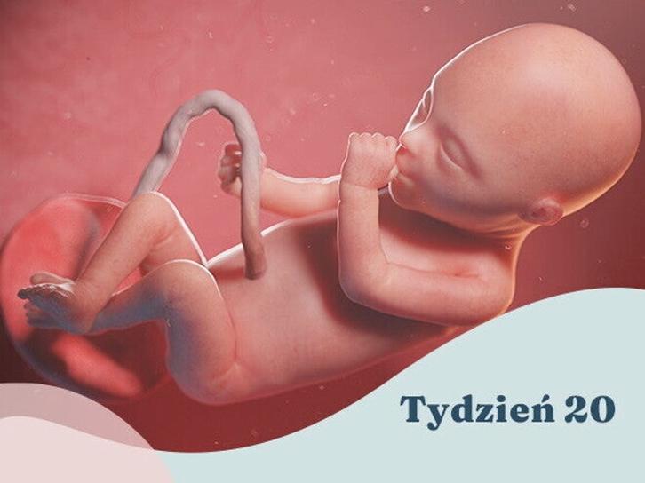 Rozwój dziecka w ciąży